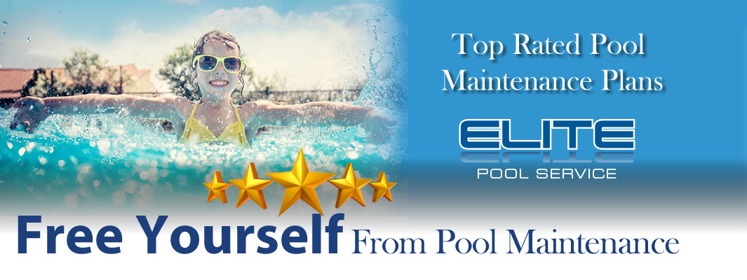 Elite pool services Collierville Tn